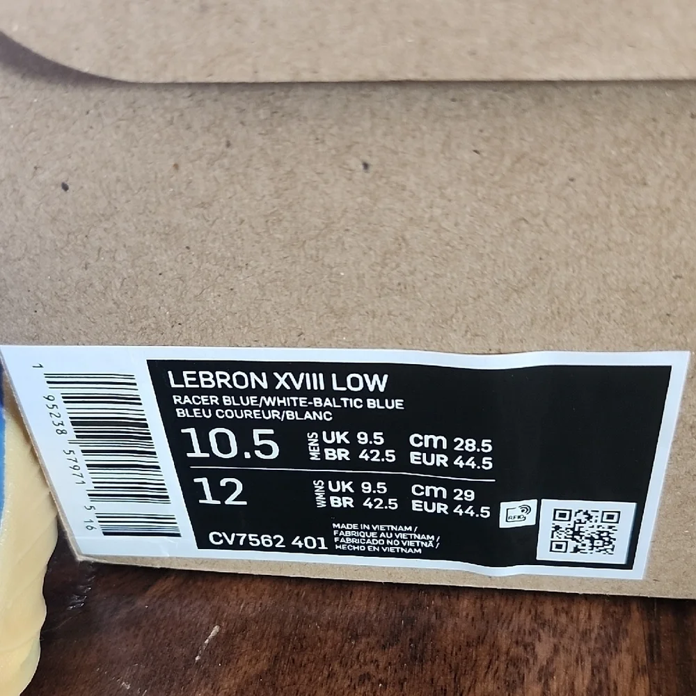 Nike Space Jam X LeBron 18 Low EP While E X Roadrunner 10.5